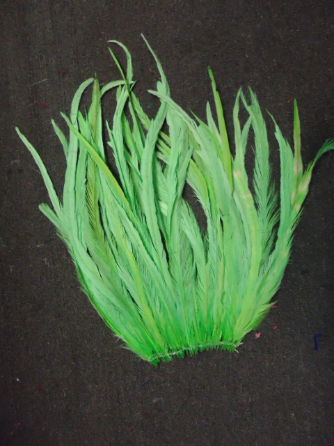 ROOSTER TAIL COQUE FEATHERS 16-18" LIME